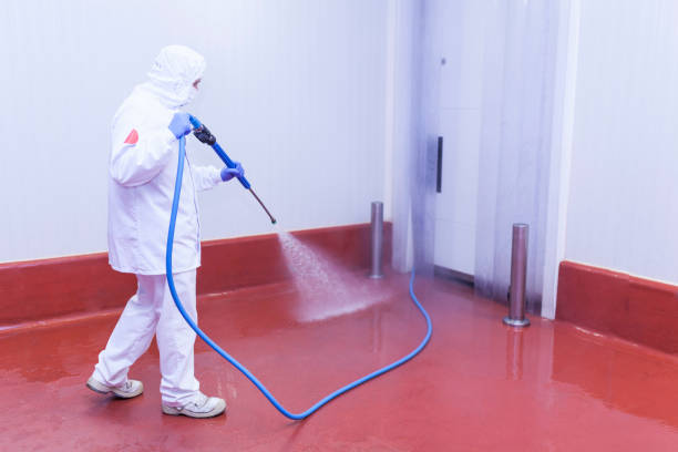Best Playground Equipment Cleaning  in Moundville, AL
